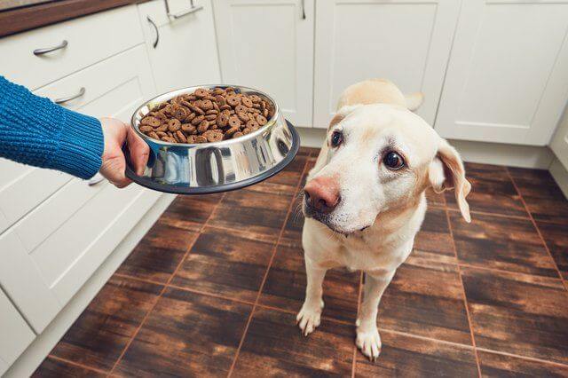 Buitenshuis Tips worm Pedigree haalt hondenbrokken uit het schap. - Petlook